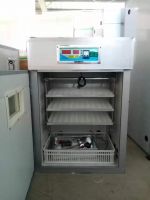 Professional 264 Egg Incubator From China