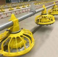 Automatic Feeding