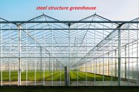 Prefab Steel Structure Farm Building &amp