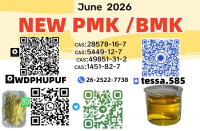 Lab Grade Chemicals Supplier 28578-16-7 PMK Ethyl Glycidate
