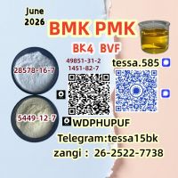 5449-12-7  BMK Glycidic Acid