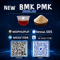  PMK  28578-16-7 Optimizing International