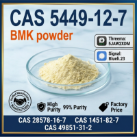 BMK Glycidic Acid Sodium Salt CAS