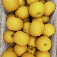 Snow Pear