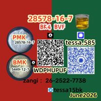 28578-16-7 PMK   Elevating Quality