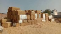 Sugarcane Bagasse