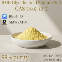 BMK Glycidic Acid Sodium Salt (CAS