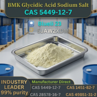 BMK Glycidic Acid Sodium Salt &acirc