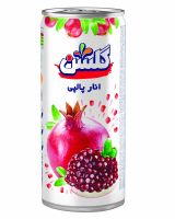 Golshan Pomegranate with Pulp ( Canned 240 cc )