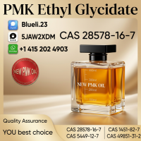 CAS 28578-16-7 PMK Ethyl