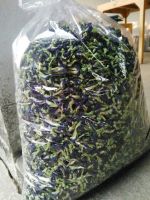 Butterfly Pea Dried Flower
