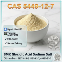 BMK Glycidic Acid Sodium Salt CAS