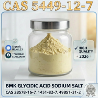 BMK Glycidic Acid Sodium Salt (CAS 5449-12-7) | 99.9% High Purity | Chemical Wholesale Supplier