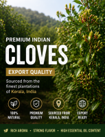 Premium Indian Cloves (Whole) Export Quality
