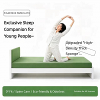 Sponge Mattress