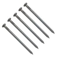 Steel Nail Common Wire 3 Inch