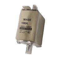 NH00 GG Fuse 100A 500VAC IEC