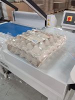 Fresh Grade A Chicken Eggs for Wholesale Supply