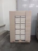 Bulk Fresh Grade A Chicken Eggs | Industrial Egg Supplier for Food Manufacturers in Europe