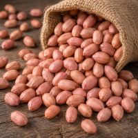 TJ PEANUT KERNELS HPS