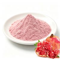 Spray Dried Pomegranate Fruit Powder Natural Water Soluble Pomegranate Juice Powder Food Grade