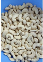 Raw Cashew Nuts