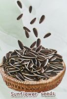 sunflower seeds