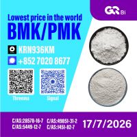 New PM.K 28578-16-7/ BM.K C.AS:5449-12-7/ Advanced Chemical Substance