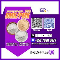 New PM.K 28578-16-7/ BM.K C.AS:5449-12-7/ High Purity Chemical Component