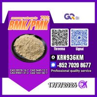 New PM.K 28578-16-7/ BM.K C.AS:5449-12-7/ Chemical Application Intermediate