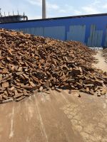 Pit iron containing molybdenum