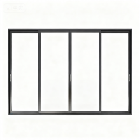 Aluminum Windows