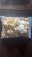 Oyster Mushrooms