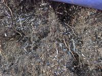 Turning Iron Scrap