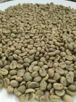 Arabica Green Coffee Beans