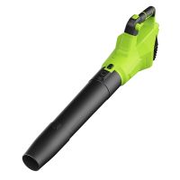 21V Cordless Electric Leaf Blower 800W Brushless Handheld Power Blower EB-052
