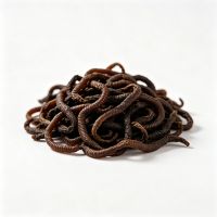 Premium Bulk Dried Earthworms for Animal &amp; Aqua Feed
