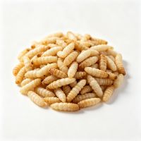 High-Nutrient Dried Maggots (Insect Larvae) for Animal Feed