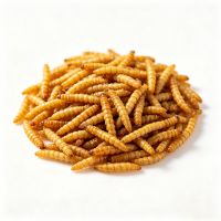 Premium Bulk Dried Mealworms for Animal Feed