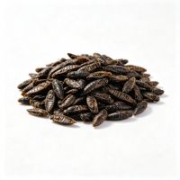 Premium Dried Black Soldier Fly Larvae (BSFL) Bulk Animal Feed