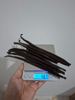 Vanilla Beans