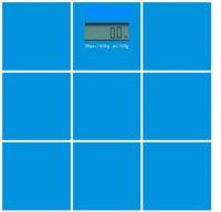 Electrical Weighing Scale