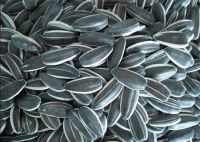 Sunflower Seeds