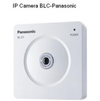 IP Cameras