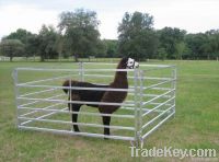 cattle panel yard