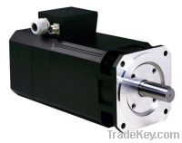 Servo Motor (Spindle Motor)