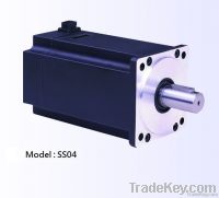 SS04-02-8 (750 w)