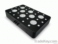 2013 Newest Dimmable 300W LED Grow Lights Lamp Panel with Single 5W