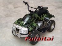 EEC&EPA Approved ATV/QUAD