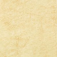 polished porcelain, ceramic tile,